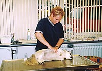 Erste-Hilfe-Kurs
