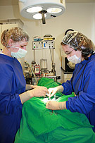 Operation