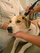Lasertherapie