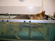 Unterwasserlaufband